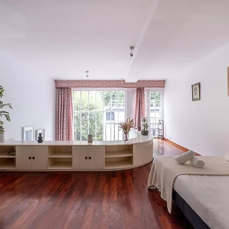 Luxueux Loft Aux Pieds Des Champs-elysees Paris